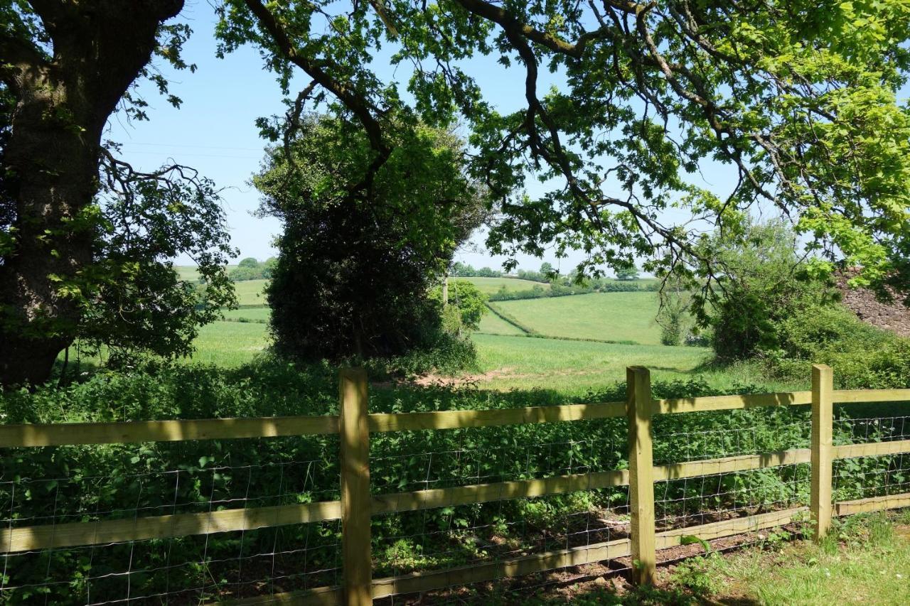 St Michaels House Bed & Breakfast Crediton Luaran gambar
